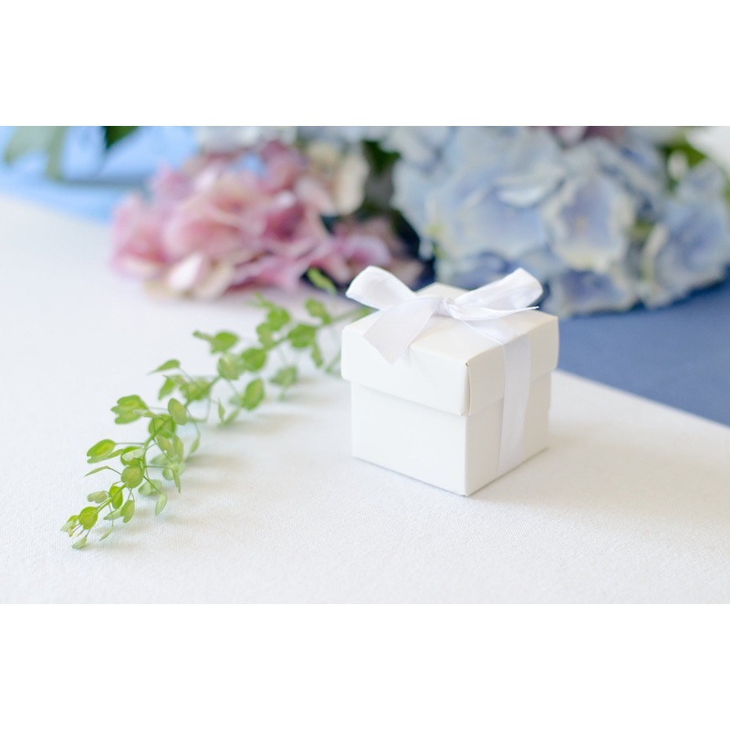 Cake Boxes with Ribbon White Pack of 10