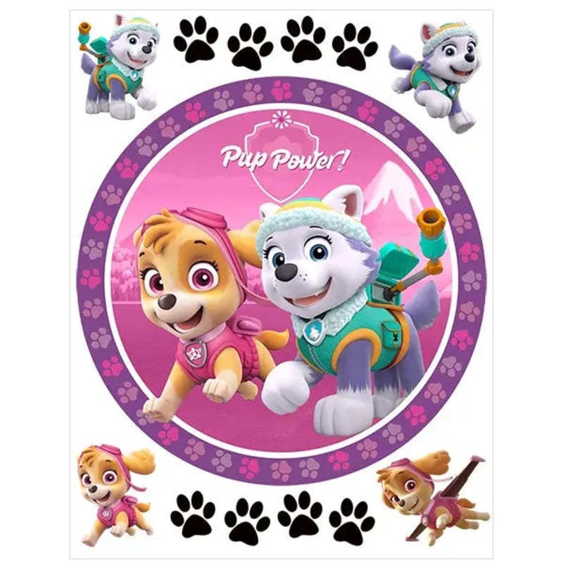 Paw Patrol Girls Edible Cake Image with FREE Edible Icons