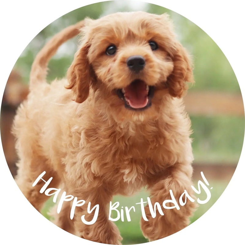 Puppy Edible Cake Image