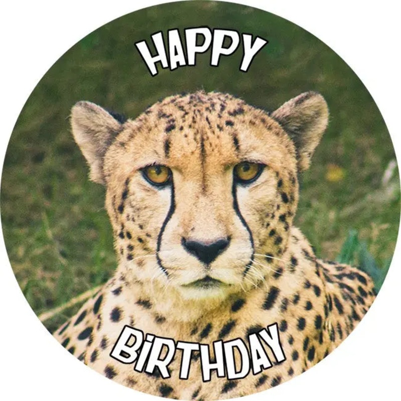 Cheetah Edible Cake Image