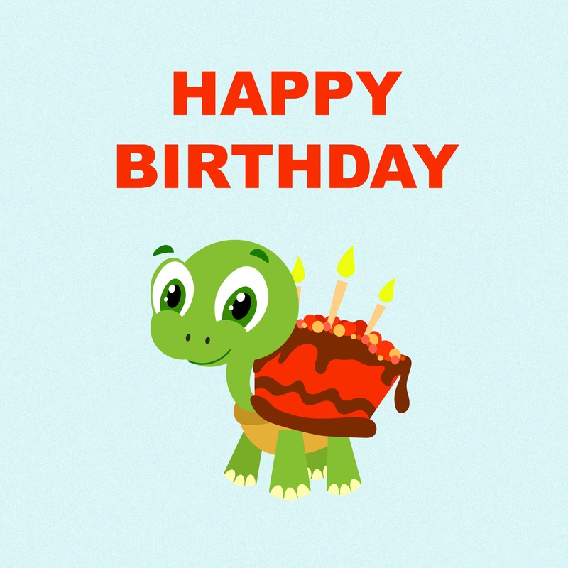 Turtle Cake Birthday Card