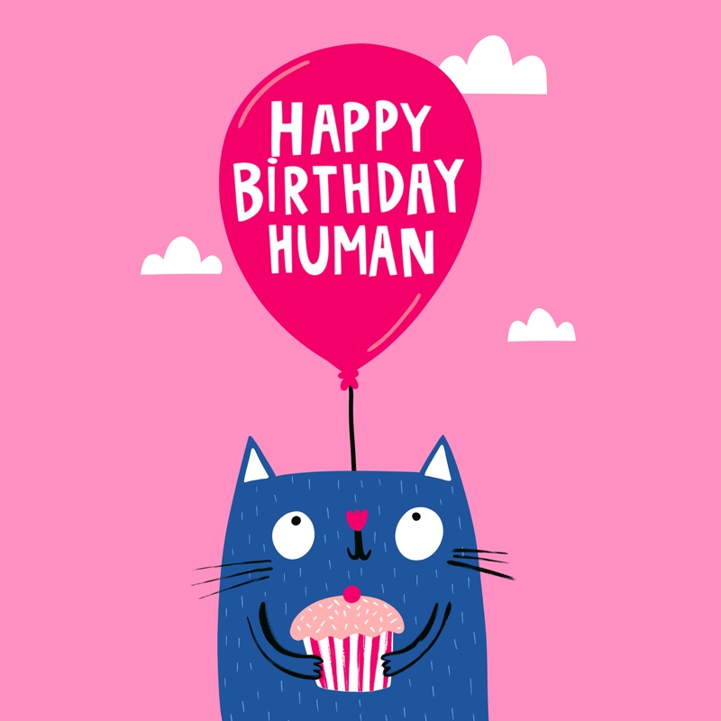 Cat And Little Cupcake Birthday Card
