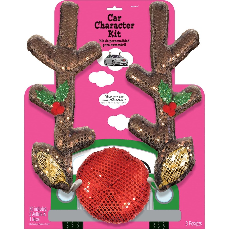 Reindeer Car Character Decorating Kit
