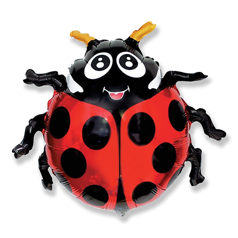 30 inch LADYBUG