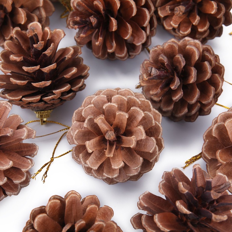 2.5" Hanging Real Pine Cones Ornaments, 36 Pcs