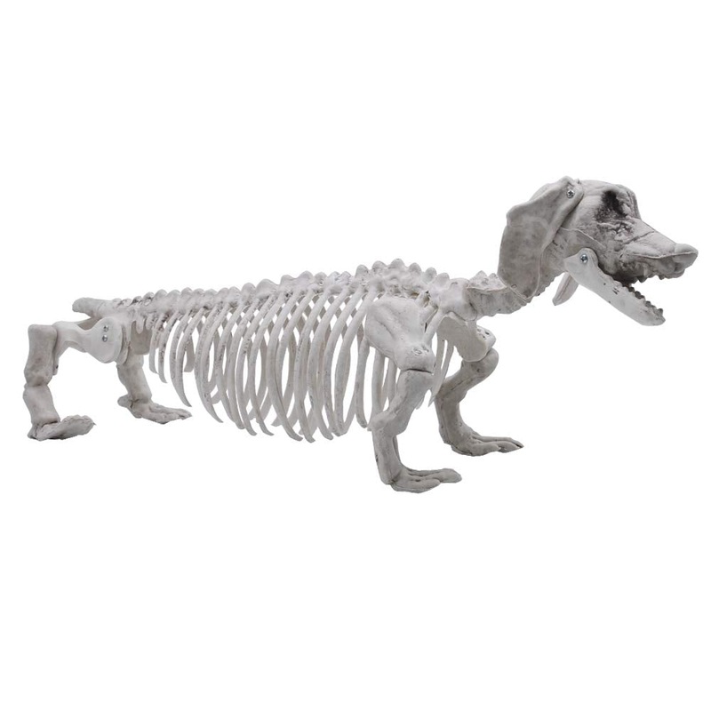 Pose-N-Stay Wiener Dog Skeleton