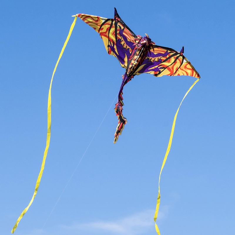 3D Dragon Kite with Tail