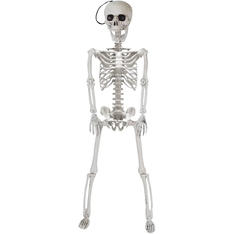 24in Pose-N-Stay Full Body Skeleton Plastic Bones