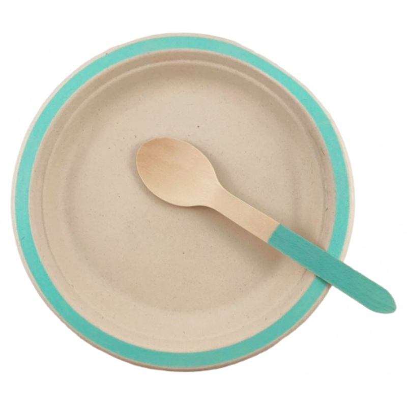 Sugarcane Lunch Plates 180mm Mint Green P10x10