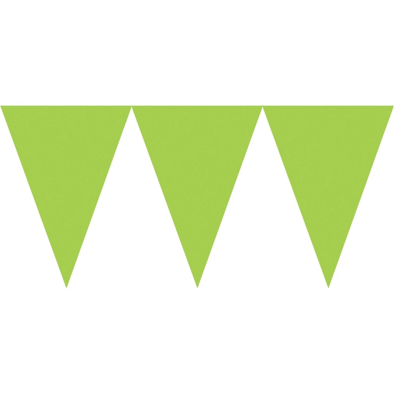 Kiwi Pennant Banner