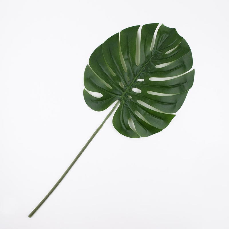 1 grande feuille tropicale - Verte