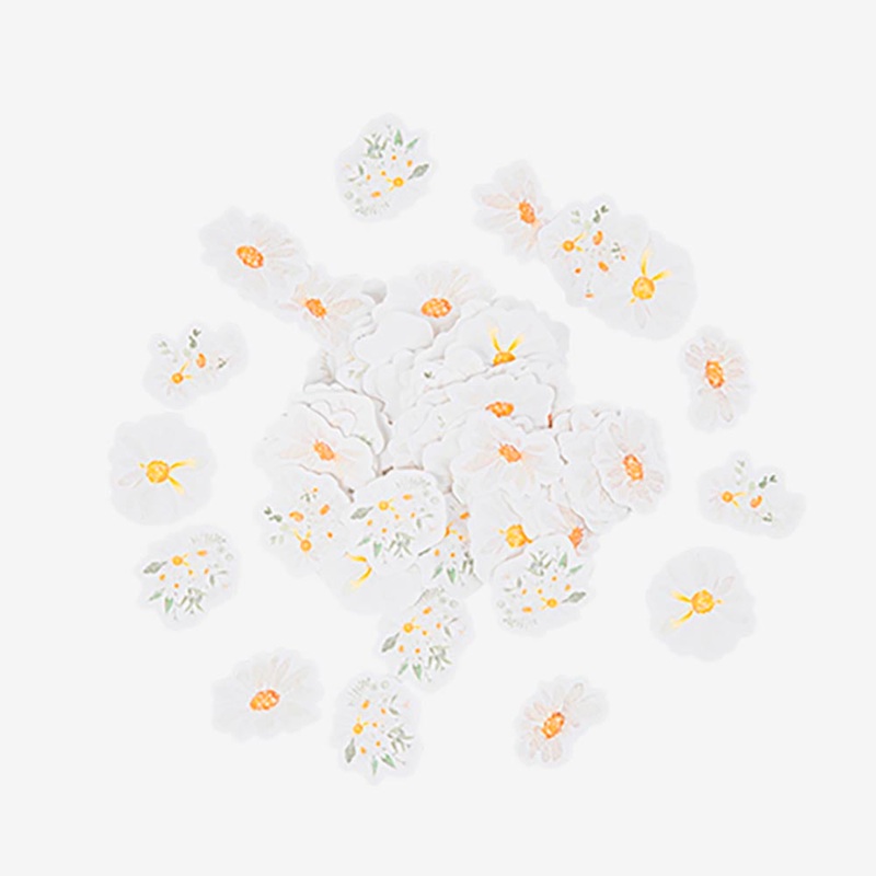 100 confettis daisies