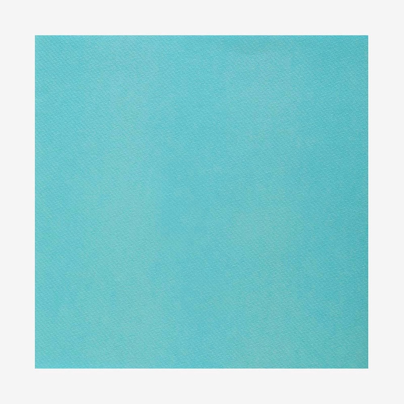 Serviettes en papier : 25 serviettes turquoise