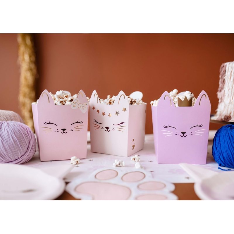 Cat Party Snack Boxes
