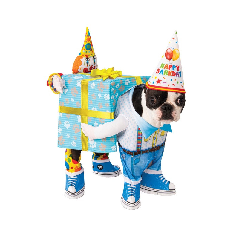 Birthday Present Dog Costume with Clown