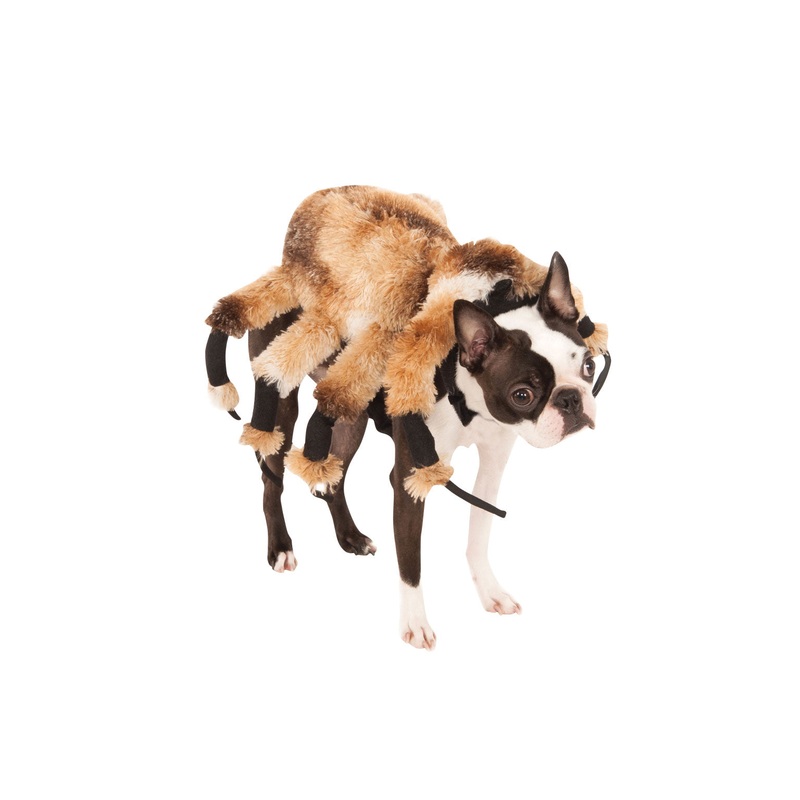 Giant Spider Dog Costume