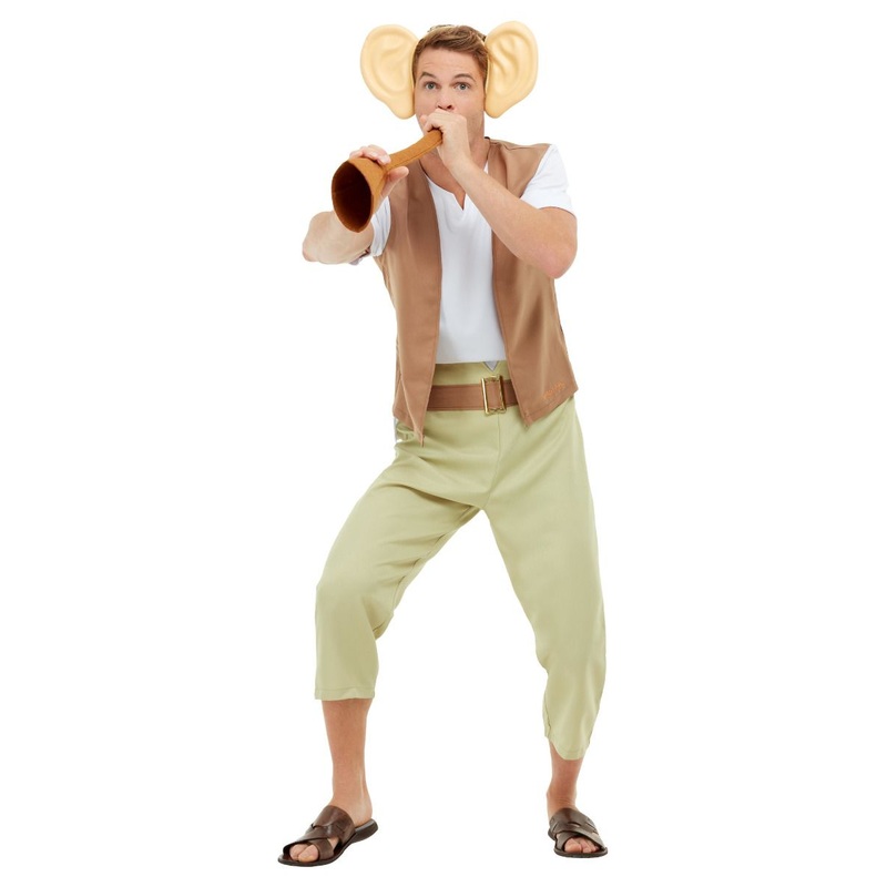 Roald Dahl BFG Costume Adult