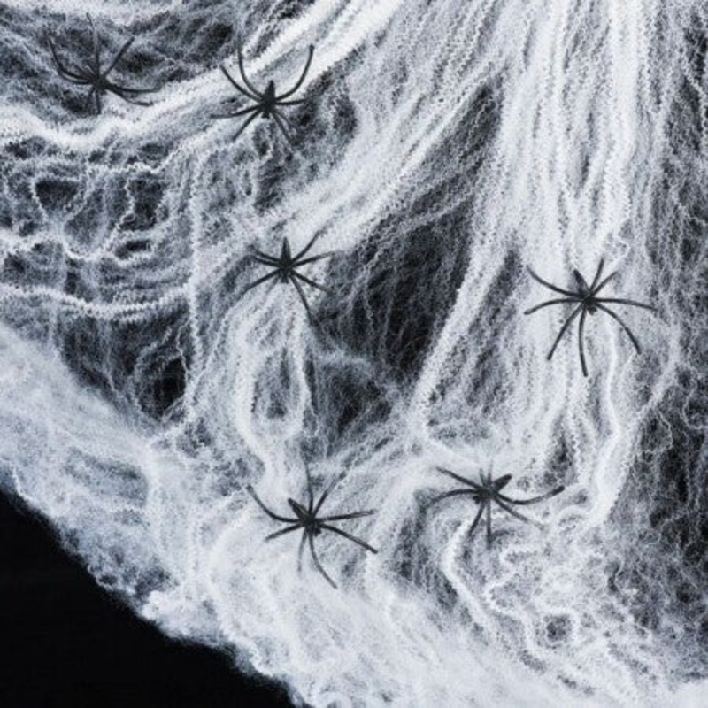White Spiders Web with Spiders