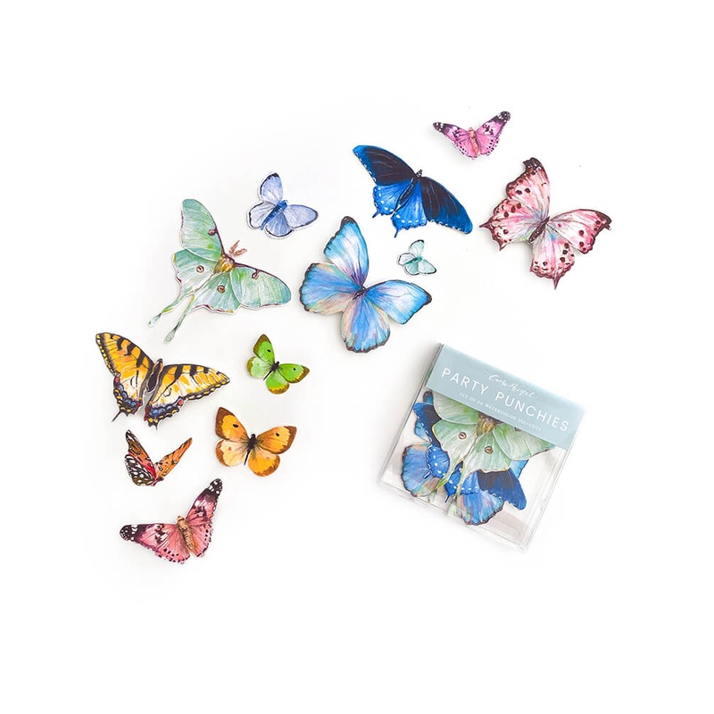 Rainbow Butterfly Party Punchies (Set of 12)
