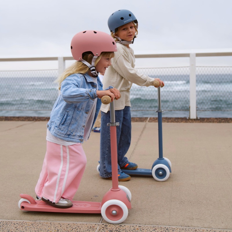 Eco Scooter - Raspberry