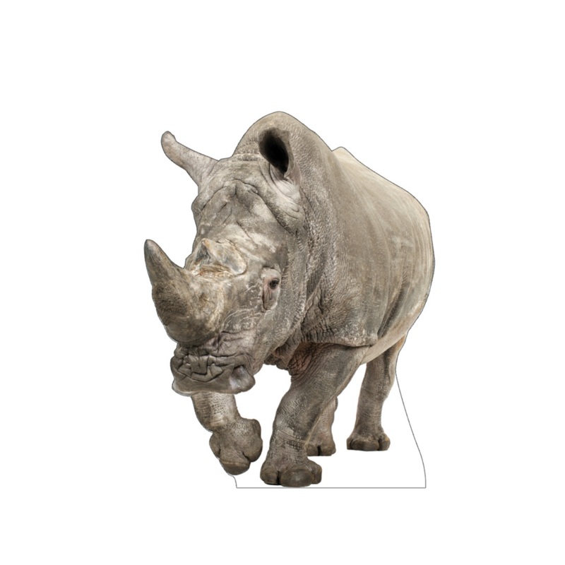 White Rhinoceros Standee 63 x 49 (height x width) inches
