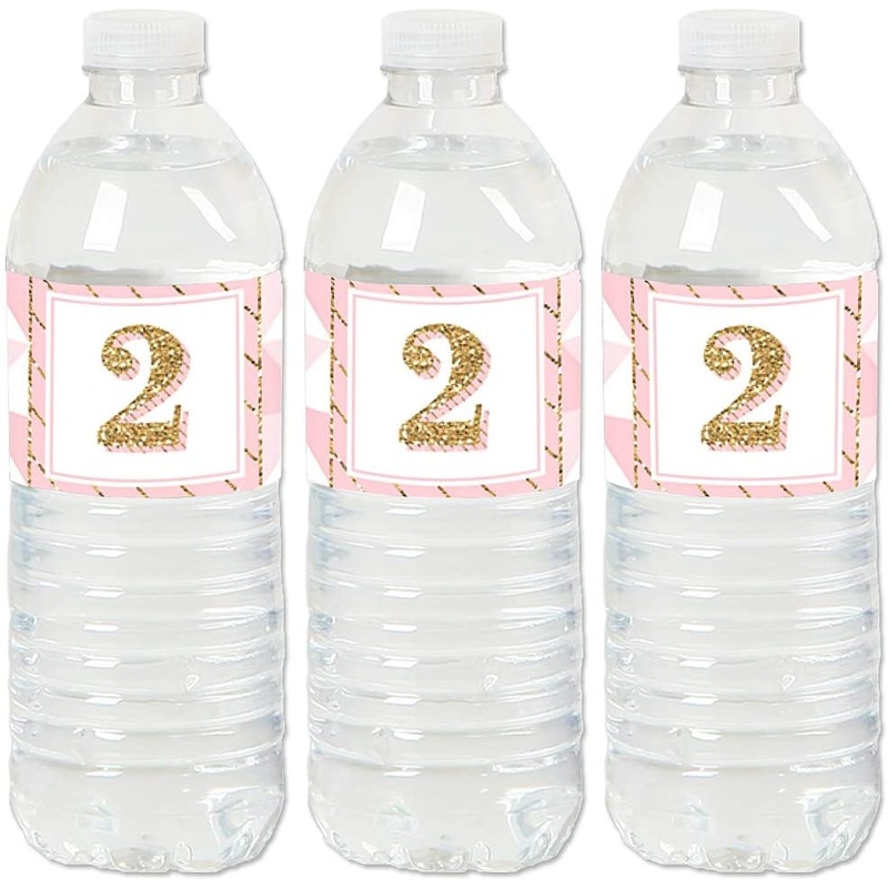 2nd Birthday Girl - Two Much Fun - Second Birthday Party Water Bottle Sticker Labels - Set of 20