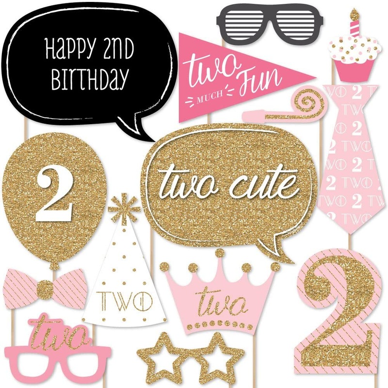 Two Much Fun - Girl - 2nd Birthday Party Photo Booth Props Kit - 20 Count