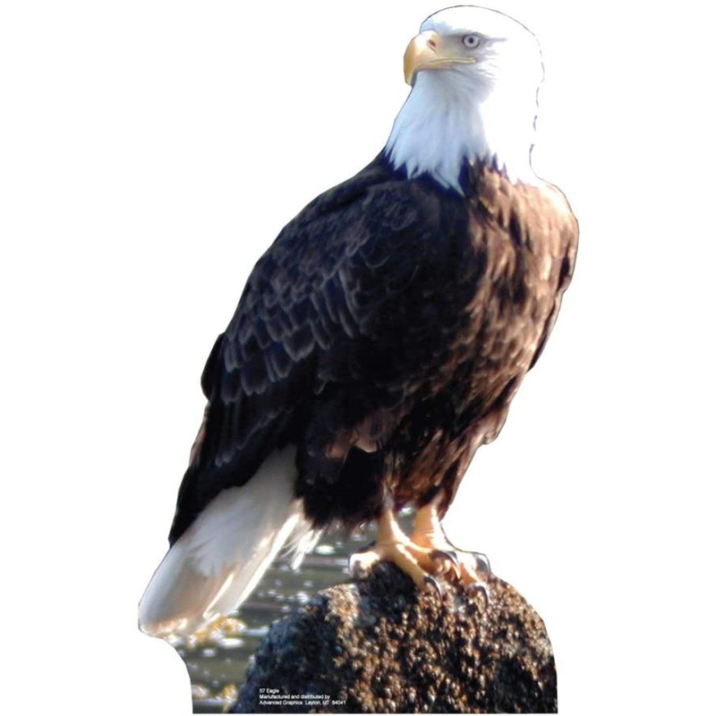 Bald Eagle Standee 15"W x 25"H