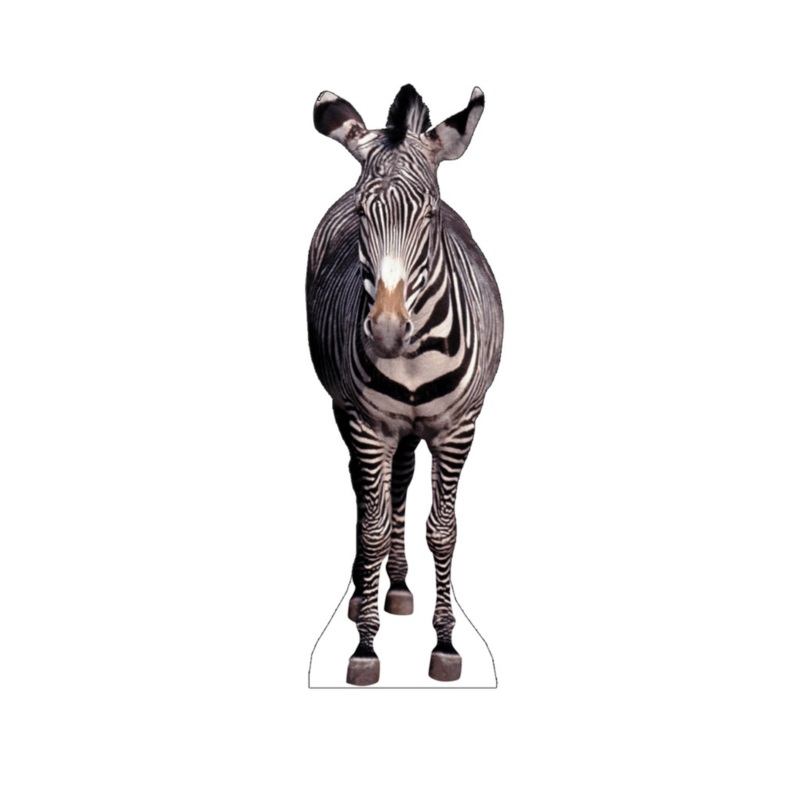 Zebra Standee 72 x 23 (height x width) inches