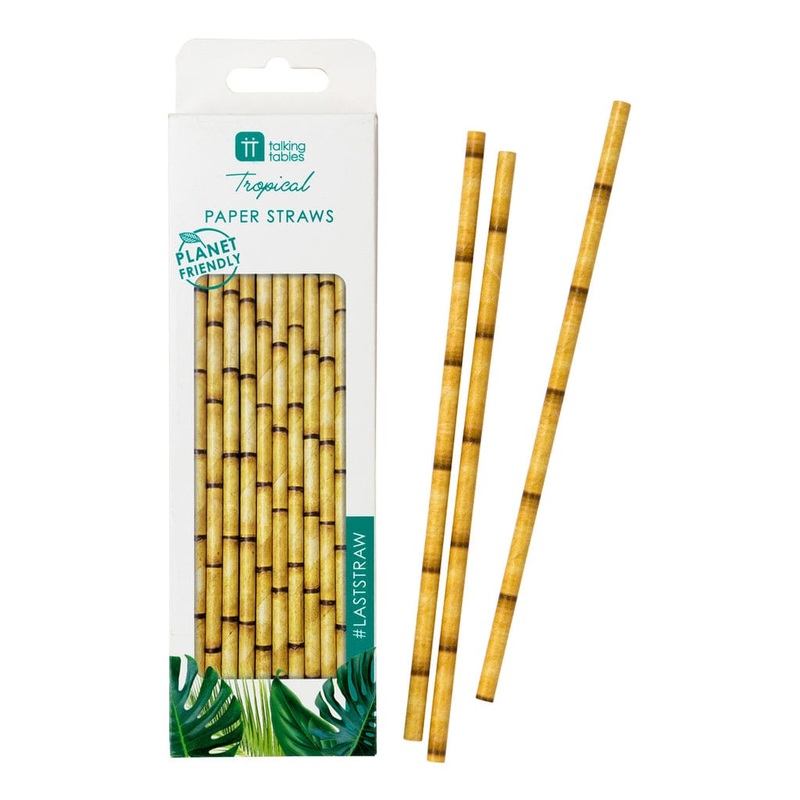 Bamboo style Paper Straws x 30