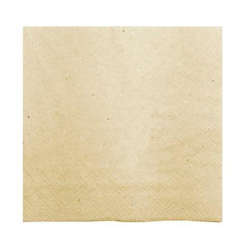 Eco Catering napkin / 100 units.