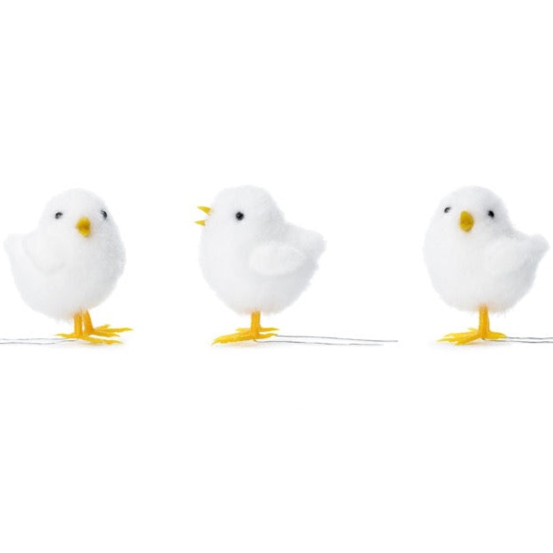 white easter chick
