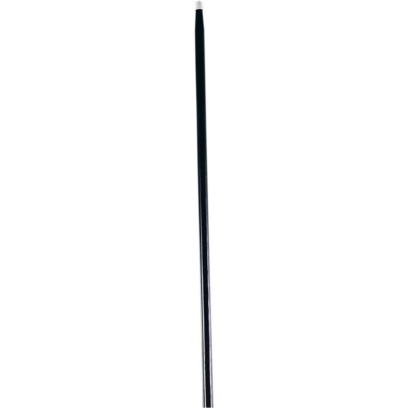 Black Theatrical Cane