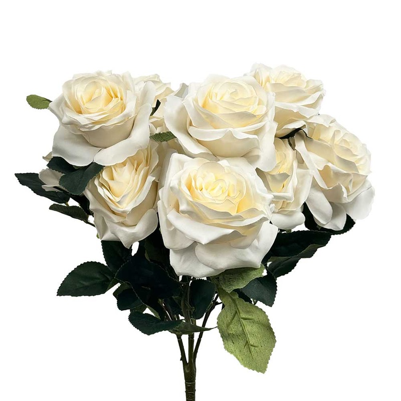 18 Open Rose Bush - Beige (1 Bouquet)