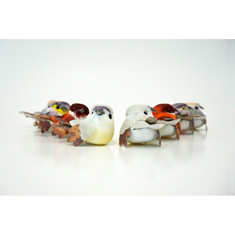Birds Assorted 1.75 (24 count)