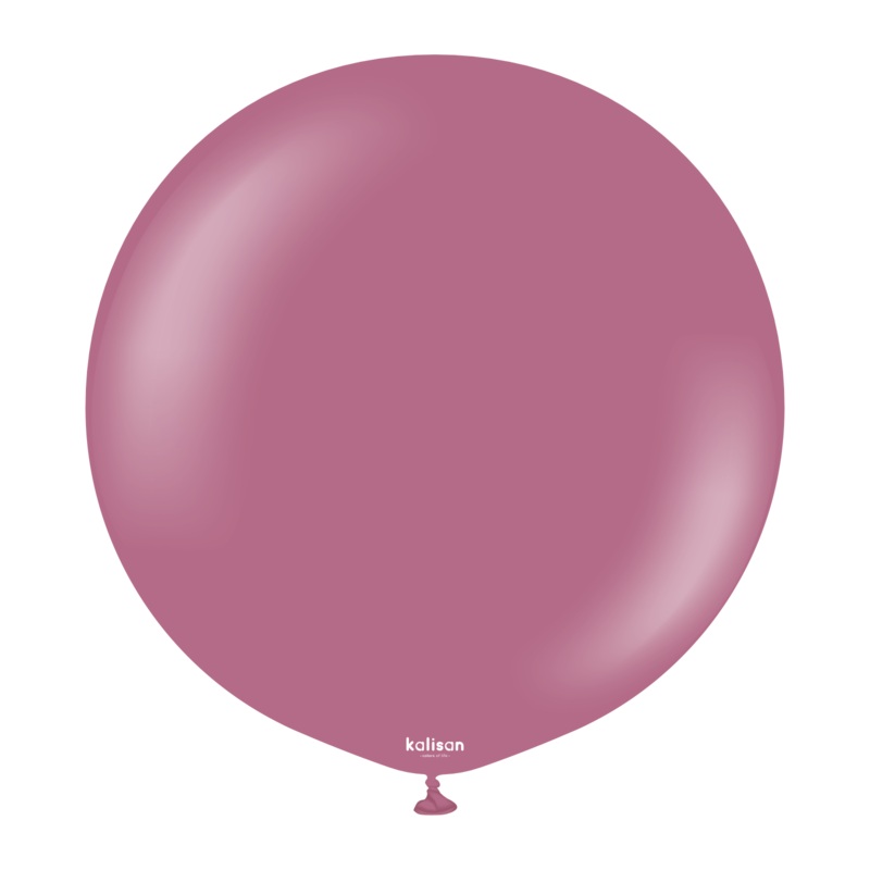 Wild Berry 24 Latex Balloons (2 count)