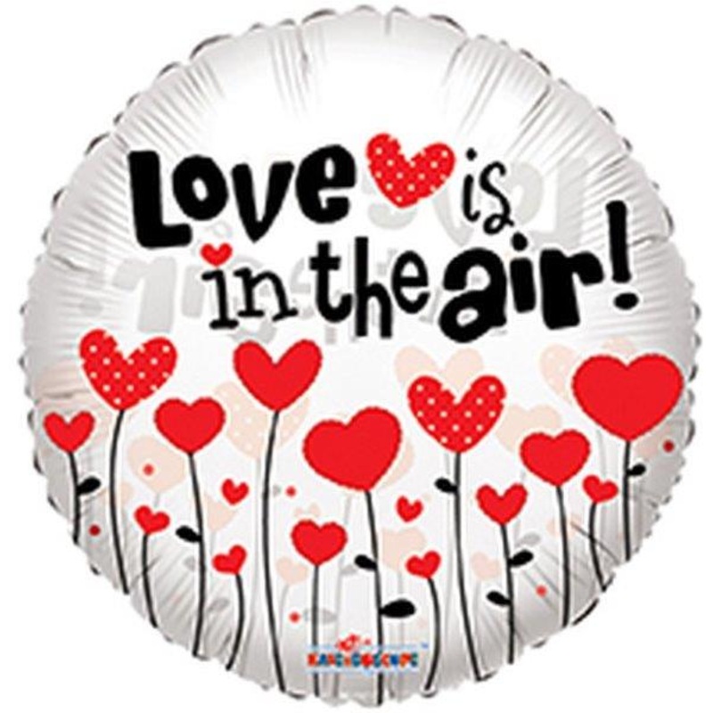 Love is in the Air! 18 Balloon