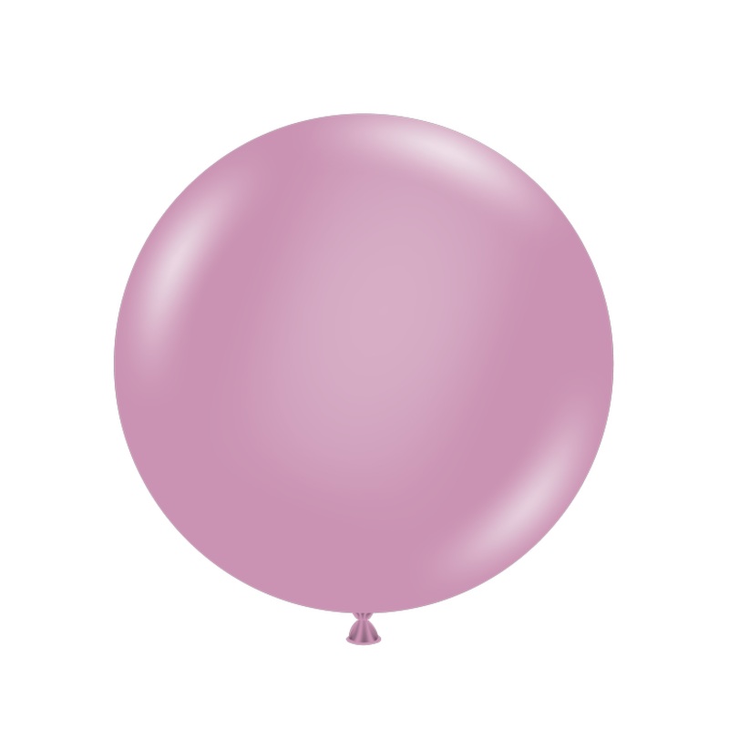 Canyon Rose 24 Latex Balloons (25 count)