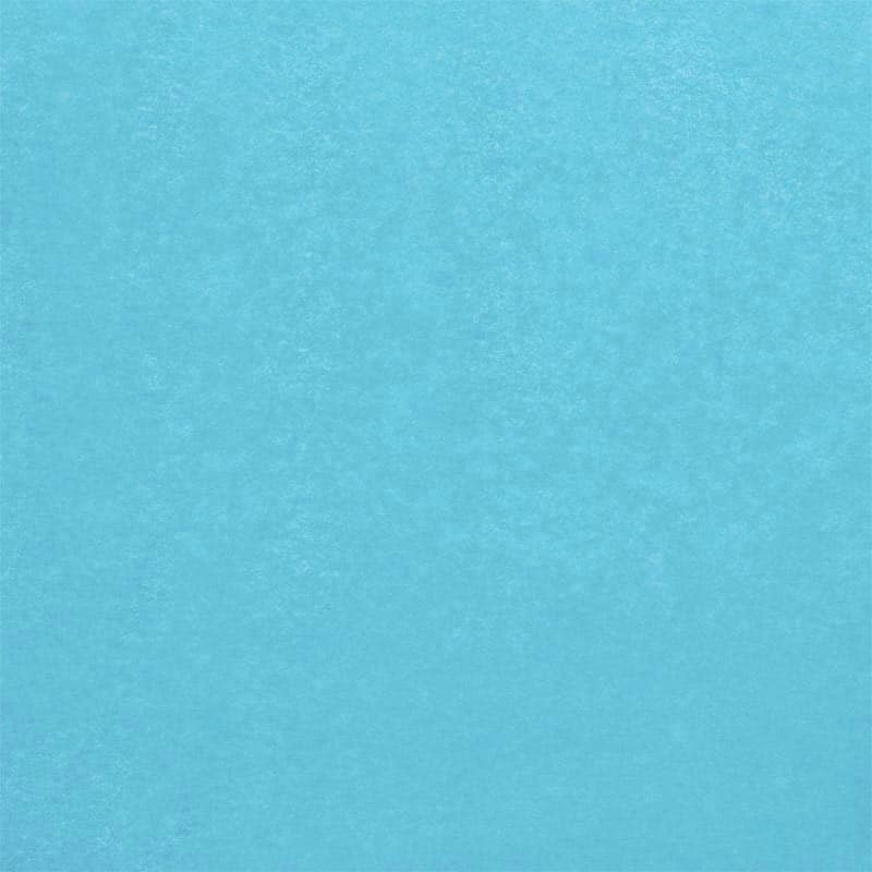 Sky Blue Tissue Paper 20" x 30" (480 sheets)