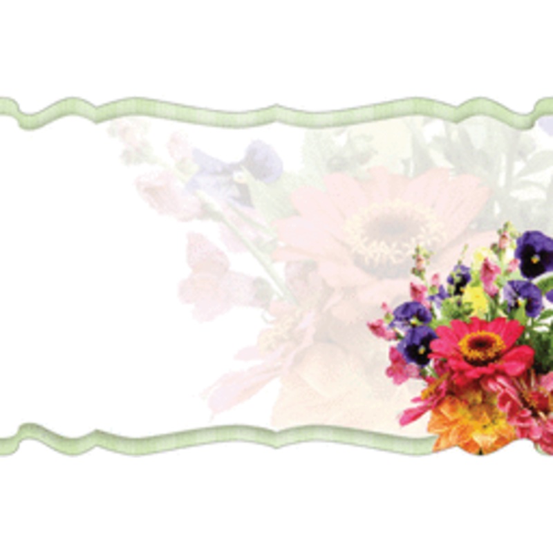 Enclosure Card - Blank Gerbera Bouquet (50 count)