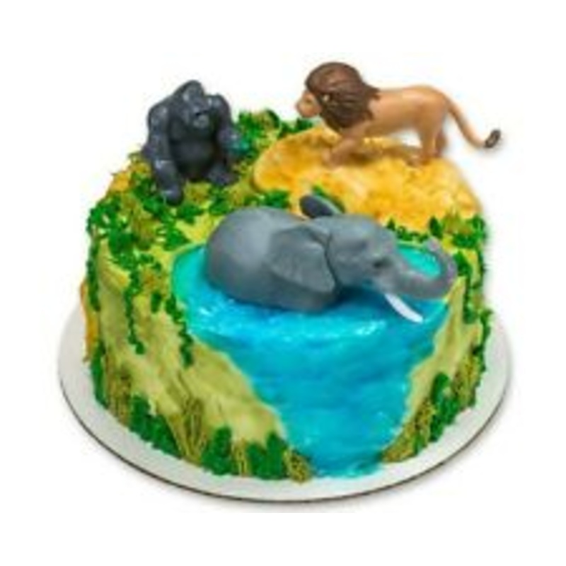 Jungle Buddies Cake Kit