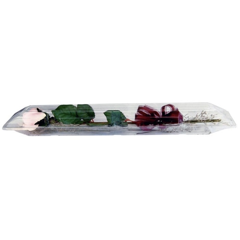 Small Single Rose Plastic Box (100 count)